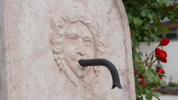 Fontana a muro con bassorilievo raffigurante Bacco